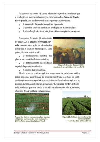Colégio Estadual Tiradentes-Rio Real/Bahia. Página 231
 