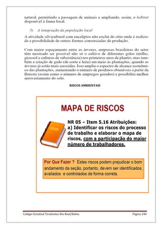 Colégio Estadual Tiradentes-Rio Real/Bahia. Página 240
RISCOS AMBIENTAIS
 