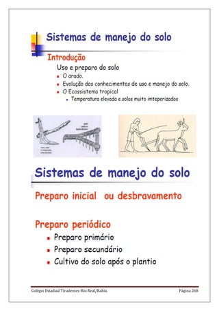 Colégio Estadual Tiradentes-Rio Real/Bahia. Página 268
 