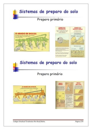 Colégio Estadual Tiradentes-Rio Real/Bahia. Página 270
 