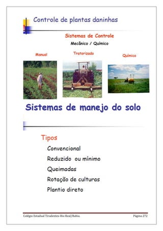 Colégio Estadual Tiradentes-Rio Real/Bahia. Página 272
 