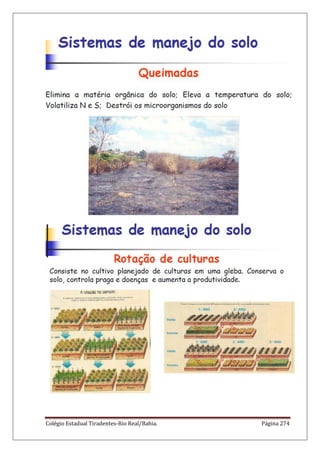 Colégio Estadual Tiradentes-Rio Real/Bahia. Página 274
 