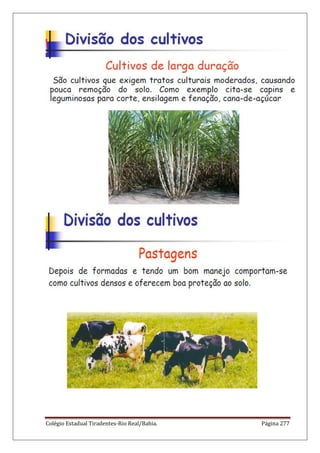 Colégio Estadual Tiradentes-Rio Real/Bahia. Página 277
 