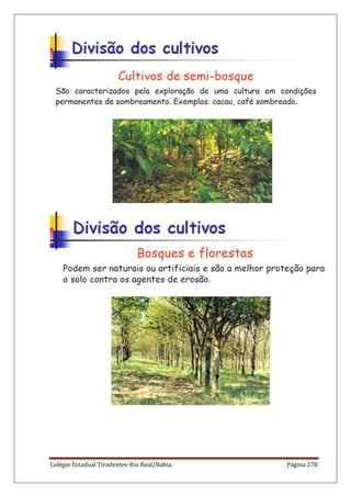 Colégio Estadual Tiradentes-Rio Real/Bahia. Página 278
 
