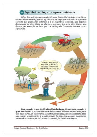 Colégio Estadual Tiradentes-Rio Real/Bahia. Página 291
 