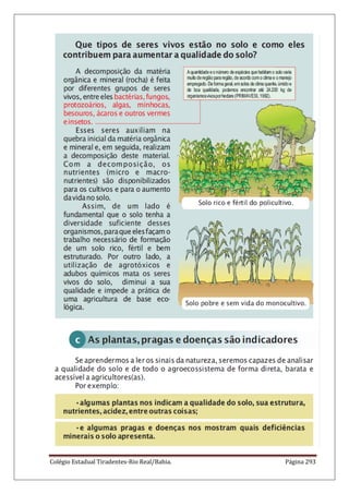 Colégio Estadual Tiradentes-Rio Real/Bahia. Página 293
 