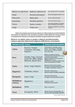 Colégio Estadual Tiradentes-Rio Real/Bahia. Página 296
 