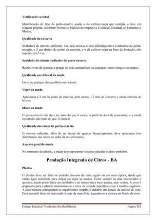 Colégio Estadual Tiradentes-Rio Real/Bahia. Página 313
Verificação varietal
Identificação do tipo de porta-enxerto usado e da cultivar-copa que compõe o lote, em
etiqueta própria, conforme Normas e Padrões da respectiva Comissão Estadual de Sementes e
Mudas;
Qualidade da enxertia
Soldadura do enxerto uniforme, lisa, sem necrose e com diferença entre o diâmetro do porta-
enxerto, a 5 cm abaixo do ponto de enxertia, e o da cultivar-copa na base da brotação, não
superior a 0,5 cm;
Sanidade do sistema radicular do porta-enxerto
Raízes livres de doenças e pragas de solo, nematóides ou quaisquer outros fungos ou pragas;
Qualidade nutricional da muda
Livre de qualquer desequilíbrio nutricional;
Vigor da muda
Apresentar a 5 cm do ponto de enxertia, pelo menos, 12 mm de diâmetro e altura mínima de
60 cm;
Idade da muda
O porta-enxerto não deve ter mais do que 6 meses, a partir da data de semeadura, e a muda
enxertada, não mais do que 12 meses;
Qualidade das raízes do porta-enxerto
O sistema radicular, além de ser isento de agentes fitopatogênicos, deve apresentar boa
distribuição das raízes ao redor da raiz pivotante;
Aspecto geral da muda
No momento do plantio, a muda deve apresentar sistema radicular e aéreo perfeitos.
Produção Integrada de Citros - BA
Plantio
O plantio deve ser feito no período chuvoso de cada região ou em outra época, desde que
exista água suficiente para irrigar ou regar as mudas. Evitar sempre os dias ensolarados e
quentes, dando preferência aos nublados e de temperatura mais amena, sem ventos. A cova é
preparada para o plantio misturando-se a terra da camada superficial com a matéria orgânica.
A essa mistura acrescentam-se superfosfato simples e calcário em função da análise do solo.
Esse material deve ser misturado à terra da superfície, jogando-se a mistura no fundo da cova.
 
