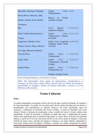 Colégio Estadual Tiradentes-Rio Real/Bahia. Página 315
Baianinha, Salustiana, Pineapple,
Parson Brown, Midsweet, Jaffa,
Sunstar, Gardner, Kona, Biondo,
Torregrosa
Limões Cravo,
Volkameriano e
Rugoso da Flórida,
citrumelo Swingle
6 x 4.
Pêra Cravo, Rugoso e
tangerina Cleópatra.
6 x 3, 6 x 2.
Natal, Valência Montemorelos e
Tuxpan
Limões Cravo,
Volkameriano e Rugoso
da Flórida
6 x 2, 6 x 4
Tangerinas e híbridos Cravo,
Ponkan, Swatow, Dancy, Murcott,
Lee, Page, Minneola, Robinson
Limão Cravo, tangerinas
Cleópatra, Sunki, Oneco
e Swatow
6 x 4, 6 x 2.
Lima da Pérsia Limões Cravo e
Volkameriano
7 x 4, 6 x 4
Limão Tahiti Limões Cravo e
Volkameriano, citrumelo
Swingle
7 x 4, 6 x 3
Pomelo Flame Limões Cravo e
Volkameriano, cit.
Swingle, citrange Carrizo
7 x 4, 6 x 4
Fonte: Embrapa Mandioca e Fruticultura Tropical
OBS.: São apresentadas várias opções de espaçamentos, considerando-se a
existência de solos mais e menos férteis, diversos tipos de manejo dos pomares,
possibilidade de irrigação e plantio de culturas intercalares e mesmo o uso de
diferentes porta-enxertos.
Tratos Culturais
Podas
As podas empregadas em pomares cítricos são de três tipos: poda de formação, de limpeza e
de rejuvenescimento. As podas, de um modo geral, devem supervisionadas por um técnico e
programados com antecedência os aspectos técnicos, tais como intensidade, época de
execução e tratamento de proteção dos locais cortados. A poda de formação tem como
objetivo formar a estrutura de sustentação, evitar a quebra de ramos e tornar a planta mais
equilibrada. A poda de formação é realizada na muda logo após a implantação do pomar,
sendo muito importante para as mudas do tipo palito ou vareta. Deve-se formar três pernadas
básicas, a partir de 45 cm até uma altura de 60 cm do solo.A poda de limpeza é feita para
retirada de ramos secos, atacados por pragas ou doenças e de ramos ladrões, improdutivos.
Essa poda elimina focos de pragas e doenças, e permite um melhor arejamento da planta.
 