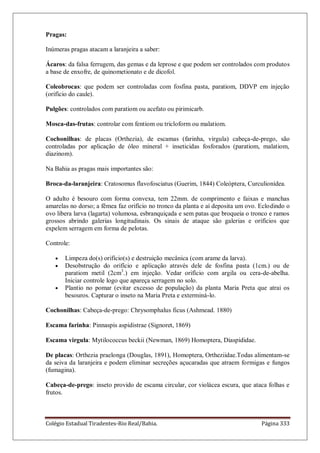 Colégio Estadual Tiradentes-Rio Real/Bahia. Página 333
Pragas:
Inúmeras pragas atacam a laranjeira a saber:
Ácaros: da falsa ferrugem, das gemas e da leprose e que podem ser controlados com produtos
a base de enxofre, de quinometionato e de dicofol.
Coleobrocas: que podem ser controladas com fosfina pasta, paratiom, DDVP em injeção
(orifício do caule).
Pulgões: controlados com paratiom ou acefato ou pirimicarb.
Mosca-das-frutas: controlar com fentiom ou tricloform ou malatiom.
Cochonilhas: de placas (Orthezia), de escamas (farinha, virgula) cabeça-de-prego, são
controladas por aplicação de óleo mineral + inseticidas fosforados (paratiom, malatiom,
diazinom).
Na Bahia as pragas mais importantes são:
Broca-da-laranjeira: Cratosomus flavofosciatus (Guerim, 1844) Coleóptera, Curculionídea.
O adulto é besouro com forma convexa, tem 22mm. de comprimento e faixas e manchas
amarelas no dorso; a fêmea faz orifício no tronco da planta e aí deposita um ovo. Eclodindo o
ovo libera larva (lagarta) volumosa, esbranquiçada e sem patas que broqueia o tronco e ramos
grossos abrindo galerias longitudinais. Os sinais de ataque são galerias e orifícios que
expelem serragem em forma de pelotas.
Controle:
Limpeza do(s) orifício(s) e destruição mecânica (com arame da larva).
Desobstrução do orifício e aplicação através dele de fosfina pasta (1cm.) ou de
paratiom metil (2cm3
.) em injeção. Vedar orifício com argila ou cera-de-abelha.
Iniciar controle logo que apareça serragem no solo.
Plantio no pomar (evitar excesso de população) da planta Maria Preta que atrai os
besouros. Capturar o inseto na Maria Preta e exterminá-lo.
Cochonilhas: Cabeça-de-prego: Chrysomphalus ficus (Ashmead. 1880)
Escama farinha: Pinnaspis aspidistrae (Signoret, 1869)
Escama virgula: Mytilococcus beckii (Newman, 1869) Homoptera, Diaspididae.
De placas: Orthezia praelonga (Douglas, 1891), Homoptera, Ortheziidae.Todas alimentam-se
da seiva da laranjeira e podem eliminar secreções açucaradas que atraem formigas e fungos
(fumagina).
Cabeça-de-prego: inseto provido de escama circular, cor violácea escura, que ataca folhas e
frutos.
 