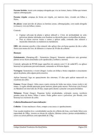 Colégio Estadual Tiradentes-Rio Real/Bahia. Página 334
Escama farinha: inseto com carapaça alongada que vive no tronco, haste e folhas que tomam
aspecto esbranquiçado.
Escama vírgula: carapaça de forma em vírgula, cor marrom claro, vivendo em folhas e
frutos.
De placas: corpo provido de placas ou laminas cereas, esbranquiçadas, com cauda alongada
(ovissaco); vive em folhas e ramos.
Controle:
Capinar sob-copa da planta e aplicar aldicarb a 1,5cm. de profundidade no solo;
pulverizar plantas infestadas com fosalone ou dicrotofos para a cochonilhas de placas.
Para as outras escovar tronco e ramos e aplicar calda, contendo óleo mineral e
inseticidas dimetoato ou malatiom ou metidatiom.
OBS: não misturar enxofre e óleo mineral, não aplicar óleo em horas quentes do dia e sobre
frutos com menos de 5cm. de diâmetro e a menos de 50 dias de colheita.
Doenças:
Estiolamento: (Damping-off) - Sementeira (fungos). Sementes apodrecem sem germinar
plantas novas ficam amareladas (colo apodrecido), tombam e morrem.
Controle: aplicação de PCNB (regar superfície de canteiro com 2 l. de calda/M2
), ou aplicar
benomyl ou quintozene preventivamente, semeando-se 48 horas depois.
Verrugose: Sementeira e viveiro (fungo). Lesões em folhas e brotos impedem o crescimento
apical da planta; afeta alguns porta enxertos.
Aplicar benomyl, logo no aparecimento dos sintomas; 15 dias após aplicar mancozeb ou
oxicloreto de cobre.
Gomose: Pomar (fungo). Afeta casca e parte externa do lenho nas raízes, tronco (colo) e até
ramos. A região afetada apresenta goma marrom; planta pode morrer. Pulverizar com Fosetyl
ou Metalaxil em intervalos de 20 dias; raspar parte doente e pincelar com pasta bordalesa.
Melanose: Pomar (fungo). Pequenas lesões arredondadas, coloração escura, recobrem
grandes áreas de frutos, folhas e ramos. Podar galhos secos e pulverizar, pós florada, com
benomyl ou oxicloreto de cobre.
Colheita/Rendimento/Comercialização:
Colheita - Evitar machucar o fruto, romper a sua casca e o apodrecimento.
Usar escada (madeira leve e arredondada) sacolas de colheita (de lona, com fundo falso) com
capacidade de 20Kg., tesoura ou alicate de colheita, (lâminas curtas e pontas arredondadas) e
cestos ou caixas plásticas com capacidade de 27Kg.
 