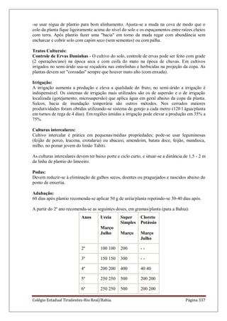 Colégio Estadual Tiradentes-Rio Real/Bahia. Página 337
-se usar régua de plantio para bom alinhamento. Ajusta-se a muda na cova de modo que o
colo da planta fique ligeiramente acima do nível do solo e os espaçamentos entre raízes cheios
com terra. Após plantio fazer uma "bacia" em torno da muda regar com abundância sem
encharcar e cobrir solo com capim seco (sem sementes) ou com palha.
Tratos Culturais:
Controle de Ervas Daninhas - O cultivo do solo, controle de ervas pode ser feito com grade
(2 operações/ano) na época seca e com ceifa do mato na época de chuvas. Em cultivos
irrigados no semi-árido usa-se roçadeira nas entrelinhas e herbicidas na projeção da copa. As
plantas devem ser "coroadas" sempre que houver mato alto (com enxada).
Irrigação:
A irrigação aumenta a produção e eleva a qualidade do fruto; no semi-árido a irrigação é
indispensável. Os sistemas de irrigação mais utilizados são os de aspersão e o de irrigação
localizada (gotejamento, microaspersão) que aplica água em geral abaixo da copa da planta.
Sulcos, bacia de inundação temporária são outros métodos. Nos cerrados maiores
produtividades foram obtidas utilizando-se sistema de gotejo a cada metro (120 l água/planta
em turnos de rega de 4 dias). Em regiões úmidas a irrigação pode elevar a produção em 35% a
75%.
Culturas intercalares:
Cultivo intercalar é prática em pequenas/médias propriedades; pode-se usar leguminosas
(feijão de porco, leucena, crotalaria) ou abacaxi, amendoim, batata doce, feijão, mandioca,
milho, no pomar jovem do limão Tahiti.
As culturas intercalares devem ter baixo porte e ciclo curto, e situar-se a distância de 1,5 - 2 m
da linha de plantio do limoeiro.
Podas:
Devem reduzir-se à eliminação de galhos secos, doentes ou praguejados e nascidos abaixo do
ponto de enxertia.
Adubação:
60 dias após plantio recomenda-se aplicar 50 g de uréia/planta repetindo-se 30-40 dias após.
A partir do 2º ano recomenda-se as seguintes doses, em gramas/planta (para a Bahia):
Anos Ureia
Março
Julho
Super
Simples
Março
Cloreto
Potássio
Março
Julho
2º 100 100 200 - -
3º 150 150 300 - -
4º 200 200 400 40 40
5º 250 250 500 200 200
6º 250 250 500 200 200
 