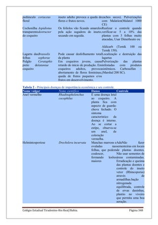 Colégio Estadual Tiradentes-Rio Real/Bahia. Página 348
pedúnculo
floral
coriaceus inseto adulto provoca a queda de
flores e frutos novos.
cachos secos). Pulverizações
com Malation(Malatol 1000
CE)
Cochonilha
transparente
do coqueiro
Aspidiotus
destructor
Os folíolos vão ficando amarelos
pela ação sugadora do inseto,
secando em seguida.
Realizar o controle quando
verificar-se 5 a 10% das
plantas com 3 folhas muito
atacadas, Usar Dimethoato ou
Aldicarb (Temik 100 ou
Temik 150).
Lagarta das
folhas
Brassolis
sophorae
Pode causar desfolhamento total
da planta
Localização e destruição das
lagartas
Pulgão
preto do
coqueiro
Cerataphis
lataniae
Em coqueiros jovens, causa
retardo do início de produção. Em
coqueiros adultos, provoca
abortamento de flores femininas,
queda de frutos pequenos e/ou
frutos em desenvolvimento.
Pulverização das plantas
infestadas com produtos
sistêmicos. Carbosulfan –
(Marshal 200 SC).
Tabela 2 - Principais doenças de importância econômica e seu controle.
Nome vulgar Nome cientifico Danos Controle
Anel vermelho Rhadinaphelenchus
cocophilus
É uma doença letal
ao coqueiro. A
planta fica com
aspecto de guarda-
chuva fechado. O
sintoma
característico da
doença é interno.
Ao se cortar a
estipe, observa-se
um anel, de
coloração
vermelha.
Helmintosporiose Drechslera incurvata Manchas marrons e
ovaladas nas
folhas, que podem
coalescer,
formando lesões
maiores
AduNão fazer
sementeiras em locais
de plantas doentes.
Não usar sementes de
áreas contaminadas.
Erradicação e queima
das plantas doentes e
controle do inseto
vetor (Rhincoporus)
através de
armadilhas.bação
nitrogenada
equilibrada, controle
de ervas daninhas,
plantio no viveiro
que permita uma boa
aeração.
 