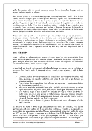 Colégio Estadual Tiradentes-Rio Real/Bahia. Página 351
polpa do coqueiro anão por possuir menos da metade do teor de gordura da polpa tanto do
coqueiro gigante quanto do híbrido.
Para realizar a colheita de coqueiros com grande altura o colhedor ou "tirador" deve utilizar
"peias" de couro ou nylon para subir nas plantas. O uso de esporas deve ser evitado visto que
estas causam ferimentos no tronco do coqueiros, o que pode transmitir doenças letais às
plantas. Chegando ao topo da árvore, o tirador amarra uma corda no pedúnculo do cacho e o
secciona com um facão. Com isso, a queda do cacho é evitada já que a corda o está
segurando. Aproveita-se este momento para realizar a limpeza das copas, desbastando as
folhas velhas, que são cortadas também com o facão. Não é recomendado cortar folhas ainda
verdes, pois pode ocorrer a atração de insetos causadores de doenças.
O coco verde merece cuidados para ser aceito pelo consumidor, visto que ele será consumido
in natura e o seu aspecto visual é um fator limitante para a sua comercialização. Logo depois
de colhidos, os cachos devem ser limpos, eliminando-se as ráquiles ou rabichos do coco para
que estas não atritem com a casca do fruto no transporte, causando feridas e escurecimento no
mesmo. Em Rondônia é comum encontrar carrinhos onde a água de coco é comercializada em
copos descartáveis, onde a aparência visual do fruto não tem tanta importância para o
consumidor.
PÓS-COLHEITA
Após a colheita, os cachos devem ser transportados com a máxima atenção, para evitar danos
tanto mecânicos provocados pelo impacto quanto a ruptura do endocarpo, ocasionando a
perda da água. Além disso, eles devem ser deixados à sombra dos coqueiros até o momento
de serem transportados para a comercialização.
A qualidade da água é extremamente afetada pelo tempo decorrente entre a colheita e o
consumo final. Sendo assim é necessário alguns cuidados para prolongar a vida útil dos
frutos:
Os frutos (cachos) devem ser manuseados com cuidado e o transporte efetuado o mais
rápido possível, em veículos cobertos com lonas de cor clara e em horários de
temperatura amena;
Deve-se ainda forrar o caminhão com palha ou serragem para evitar danos mecânicos
aos frutos das camadas inferiores;
Não sendo possível o transporte logo após a colheita, recomenda-se que os cachos
sejam armazenados em galpão fresco, bem arejado e seco, por, no máximo dois dias;
Se o mercado exigir o fruto a granel por unidade, proceder à retirada dos frutos do
cacho com o auxílio de uma tesoura de poda, tomando o cuidado para não arrancar o
pedúnculo e o cálice floral, estruturas que formam uma proteção natural contra a
entrada de fungos e bactérias que deterioram a água;
Recomenda-se que os frutos cheguem ao distribuidor no prazo máximo de três dias
após a colheita;
Na maioria das vezes o fruto exige armazenamento no local de consumo, onde devem
permanecer ainda nos cachos, em locais com boa ventilação, evitando-se a exposição aos
raios solares e a temperaturas elevadas. Quando armazenados à temperatura ambiente, acima
de 20ºC os cocos devem ser consumidos no período máximo de 10 dias após a colheita. Em
câmara fria a 12ºC esse período pode ser prolongado por mais 15 a 20 dias, após o qual
iniciam os processos de deterioração que comprometem, principalmente, a acidez da água.
 
