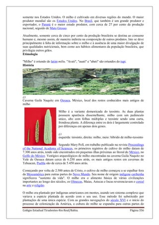 Colégio Estadual Tiradentes-Rio Real/Bahia. Página 356
somente nos Estados Unidos. O milho é cultivado em diversas regiões do mundo. O maior
produtor mundial são os Estados Unidos. No Brasil, que também é um grande produtor e
exportador, o Paraná é o maior estado produtor, com cerca de 27 por cento da produção
nacional, seguido de Mato Grosso.
Atualmente, somente cerca de cinco por cento da produção brasileira se destina ao consumo
humano e, mesmo assim, de maneira indireta na composição de outros produtos. Isto se deve
principalmente à falta de informação sobre o milho e à ausência de uma maior divulgação de
suas qualidades nutricionais, bem como aos hábitos alimentares da população brasileira, que
privilegia outros grãos.
Etimologia
"Milho" é oriundo do latim miliu. "Avati", "auati" e "abati" são oriundos do tupi.
História
Caverna Guila Naquitz em Oaxaca, México, local dos restos conhecidos mais antigos de
milho
Milho é a variante domesticada do teosinto. As duas plantas
possuem aparência dissemelhante, milho com um pedúnculo
unico, alto com folhas múltiplas e teosinte sendo uma curta,
frondosa planta. A diferença entre os dois é largamente controlado
por diferenças em apenas dois genes.
esquerda: teosinto, direita: milho, meio: híbrido de milho-teosinto
Segundo Mary Poll, em trabalho publicado na revista Proceedings
of the National Academy of Sciences, os primeiros registros do cultivo do milho datam de
7.300 anos atrás, tendo sido encontrados em pequenas ilhas próximas ao litoral do México, no
Golfo do México. Vestígios arqueológicos de milho encontradas na caverna Guila Naquitz no
Vale de Oaxaca datam cerca de 6.250 anos atrás, os mais antigos restos em cavernas de
Tehuacan, Puebla são de cerca de 5.450 anos atrás.
Começando por volta de 2.500 antes de Cristo, o cultivo de milho começou a se espalhar fora
da Mesoamérica para outras partes do Novo Mundo. Seu nome de origem indígena caribenha
significava "sustento da vida". O milho era o alimento básica de várias civilizações
importantes ao longo dos séculos, os Olmecas, Maias, Astecas e Incas reverenciavam o cereal
na arte e religião.
O milho era plantado por indígenas americanos em montes, usando um sistema complexo que
variava a espécie plantada de acordo com o seu uso. Esse método foi substituído por
plantações de uma única espécie. Com as grandes navegações do século XVI e o início do
processo de colonização da América, a cultura do milho se expandiu para outras partes do
 