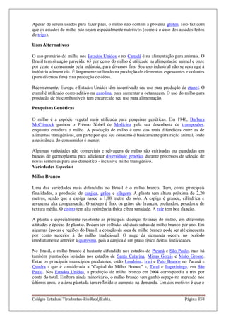 Colégio Estadual Tiradentes-Rio Real/Bahia. Página 358
Apesar de serem usados para fazer pães, o milho não contém a proteína glúten. Isso faz com
que os assados de milho não sejam especialmente nutritivos (como é o caso dos assados feitos
de trigo).
Usos Alternativos
O uso primário do milho nos Estados Unidos e no Canadá é na alimentação para animais. O
Brasil tem situação parecida: 65 por cento do milho é utilizado na alimentação animal e onze
por cento é consumido pela indústria, para diversos fins. Seu uso industrial não se restringe à
indústria alimentícia. É largamente utilizado na produção de elementos espessantes e colantes
(para diversos fins) e na produção de óleos.
Recentemente, Europa e Estados Unidos têm incentivado seu uso para produção de etanol. O
etanol é utilizado como aditivo na gasolina, para aumentar a octanagem. O uso do milho para
produção de biocombustíveis tem encarecido seu uso para alimentação.
Pesquisas Genéticas
O milho é a espécie vegetal mais utilizada para pesquisas genéticas. Em 1940, Barbara
McClintock ganhou o Prêmio Nobel de Medicina pela sua descoberta de transposões,
enquanto estudava o milho. A produção de milho é uma das mais difundidas entre as de
alimentos transgênicos, em parte por que seu consumo é basicamente para ração animal, onde
a resistência do consumidor é menor.
Algumas variedades não comerciais e selvagens de milho são cultivadas ou guardadas em
bancos de germoplasma para adicionar diversidade genética durante processos de seleção de
novas sementes para uso doméstico - inclusive milho transgênico.
Variedades Especiais
Milho Branco
Uma das variedades mais difundidas no Brasil é o milho branco. Tem, como principais
finalidades, a produção de canjica, grãos e silagem. A planta tem altura próxima de 2,20
metros, sendo que a espiga nasce a 1,10 metro do solo. A espiga é grande, cilíndrica e
apresenta alta compensação. O sabugo é fino, os grãos são brancos, profundos, pesados e de
textura média. O colmo tem alta resistência física e boa sanidade. A raiz tem boa fixação.
A planta é especialmente resistente às principais doenças foliares do milho, em diferentes
altitudes e épocas de plantio. Podem ser colhidas até duas safras de milho branco por ano. Em
algumas épocas e regiões do Brasil, a cotação da saca de milho branco pode ser até cinquenta
por cento superior à do milho tradicional. O auge da demanda ocorre no período
imediatamente anterior à quaresma, pois a canjica é um prato típico destas festividades.
No Brasil, o milho branco é bastante difundido nos estados do Paraná e São Paulo, mas há
também plantações isoladas nos estados de Santa Catarina, Minas Gerais e Mato Grosso.
Entre os principais municípios produtores, estão Londrina, Irati e Pato Branco no Paraná e
Quadra - que é considerada a "Capital do Milho Branco" -, Tatuí e Itapetininga, em São
Paulo. Nos Estados Unidos, a produção de milho branco em 2004 correspondia a três por
cento do total. Embora ainda minoritário, o milho branco tem ganho espaço no mercado nos
últimos anos, e a área plantada tem refletido o aumento na demanda. Um dos motivos é que o
 