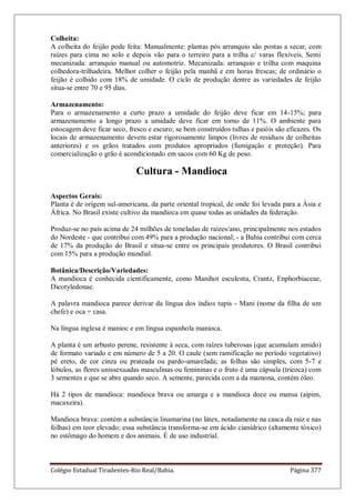 Colégio Estadual Tiradentes-Rio Real/Bahia. Página 377
Colheita:
A colheita do feijão pode feita: Manualmente: plantas pós arranquio são postas a secar, com
raízes para cima no solo e depois vão para o terreiro para a trilha c/ varas flexíveis. Semi
mecanizada: arranquio manual ou automotriz. Mecanizada: arranquio e trilha com maquina
colhedora-trilhadeira. Melhor colher o feijão pela manhã e em horas frescas; de ordinário o
feijão é colhido com 18% de umidade. O ciclo de produção dentre as variedades de feijão
situa-se entre 70 e 95 dias.
Armazenamento:
Para o armazenamento a curto prazo a umidade do feijão deve ficar em 14-15%; para
armazenamento a longo prazo a umidade deve ficar em torno de 11%. O ambiente para
estocagem deve ficar seco, fresco e escuro; se bem construídos tulhas e paióis são eficazes. Os
locais de armazenamento devem estar rigorosamente limpos (livres de resíduos de colheitas
anteriores) e os grãos tratados com produtos apropriados (fumigação e proteção). Para
comercialização o grão é acondicionado em sacos com 60 Kg de peso.
Cultura - Mandioca
Aspectos Gerais:
Planta é de origem sul-americana, da parte oriental tropical, de onde foi levada para a Ásia e
África. No Brasil existe cultivo da mandioca em quase todas as unidades da federação.
Produz-se no país acima de 24 milhões de toneladas de raízes/ano, principalmente nos estados
do Nordeste - que contribui com 49% para a produção nacional; - a Bahia contribui com cerca
de 17% da produção do Brasil e situa-se entre os principais produtores. O Brasil contribui
com 15% para a produção mundial.
Botânica/Descrição/Variedades:
A mandioca é conhecida cientificamente, como Manihot esculenta, Crantz, Enphorbiaceae,
Dicotyledonae.
A palavra mandioca parece derivar da língua dos índios tupis - Mani (nome da filha de um
chefe) e oca = casa.
Na língua inglesa é manioc e em língua espanhola manioca.
A planta é um arbusto perene, resistente à seca, com raízes tuberosas (que acumulam amido)
de formato variado e em número de 5 a 20. O caule (sem ramificação no período vegetativo)
pé ereto, de cor cinza ou prateada ou pardo-amarelada; as folhas são simples, com 5-7 e
lóbulos, as flores unissexuadas masculinas ou femininas e o fruto é uma cápsula (tricoca) com
3 sementes e que se abre quando seco. A semente, parecida com a da mamona, contém óleo.
Há 2 tipos de mandioca: mandioca brava ou amarga e a mandioca doce ou mansa (aipim,
macaxeira).
Mandioca brava: contém a substância linamarina (no látex, notadamente na casca da raiz e nas
folhas) em teor elevado; essa substância transforma-se em ácido cianídrico (altamente tóxico)
no estômago do homem e dos animais. É de uso industrial.
 
