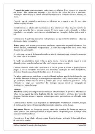 Colégio Estadual Tiradentes-Rio Real/Bahia. Página 382
Percevejo de renda: praga que ocorre na época seca; o adulto é de cor cinzenta e o jovem de
cor branca. São encontrados sugando a face inferior das folhas baixeiras e medianas.
Pontuações amarelas que se tornam marrom-avermelhadas na folha são sinais da presença do
inseto.
Controle: uso de variedades resistentes ou tolerantes ao percevejo e uso de inseticidas
fosforados (dispendioso).
Mosca-branca: os adultos são encontrados na face inferior das folhas da parte superior da
planta que sacudida, faz as moscas voarem. O inseto suga a seiva deixando as folhas
amareladas e encrespadas e cobertas com substância escura (fumagina). Folhas podem secar e
cair.
Controle: uso de cultivares resistentes ou tolerantes e uso de inseticida sistêmico - à base de
dometoato - (altas populações).
Ácaros: pragas mais severas que atacam a mandioca e encontrados em grande número na face
inferior da folha, notadamente na época seca. Os ácaros mais importantes são o ácaro verde
(tanajoá) e o ácaro rajado.
O verde suga a seiva de folhas em brotação no alto da planta deixando pontuações amarelas
nas folhas (que se deformam).
O rajado tem preferência pelas folhas na parte media e basal da planta, sugam a seiva
deixando pontos amarelos na base da folha e ao longo da nervura central.
Controle: umidade relativa alta e contínua da e chuvas ajudam a reduzir as populações das
pragas; o uso de variedades resistentes e/ou tolerantes, destruição de outros hospedeiros,
destruição de restos de cultura são também ações de controle.
Formigas: podem atacar as folhas e gemas desfolhando a planta; a perda das folhas reduz teor
de amidos. O ataque da formiga dá-se nos primeiros meses do ciclo (vida) da mandioca. Logo
que se observa folhas cortadas iniciar o controle pelo uso de formicidas granulados (iscas)
colocadas ao longo dos "caminhos" das formigas (épocas secas) ou fumigação de
formigueiros (época chuvosa).
Doenças:
Bacteriose: doença mais importante da mandioca, é fator limitante da produção. Murchas das
folhas novas, seguida de morte da planta além do escurecimento e obstrução dos vasos são
sintomas. Manchas angulares aquosas também aparecem e que resultam em coloração parda
da folha.
Controle: uso de material sadio no plantio, uso de variedades resistentes ou tolerantes, rotação
de cultura, evitar transporte de material contaminado para áreas sem a doença.
Antracnose: Doença por fungo que provoca morte dos ponteiros das hastes que mostram
lesões elípticas com pontuações róseas na região central. Em plantas jovens a doença causa
seca descendente das hastes.
Controle: uso de variedades tolerantes, poda da parte afetada e aplicação de fungicida à base
de mancozeb ou cobre.
 
