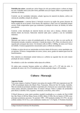 Colégio Estadual Tiradentes-Rio Real/Bahia. Página 383
Podridão das raízes: causada por vários fungos de solo que podem atacar a cultura ao longo
do ciclo. Podridão mole (com odor forte), podridão seca (cor negra), falhas na germinação são
sintomas da doença.
Controle: uso de variedades tolerantes, seleção rigorosa do material de plantio, cultivo em
sistema de camalhão, rotação de culturas.
Superbrotamento: o sintoma básico é brotação excessiva na região das gemas (dezenas de
brotos saindo de um só ponto). Esses brotos são raquíticos e finos com cor amarelada (ataque
severo). Pode comprometer quase que totalmente a produção de raízes, de farinha, de ramas
para plantio.
Controle: evitar introdução de material doente em áreas sem a doença, eliminar plantas
doentes dentro da lavoura. Selecionar material sadio para o plantio e uso de variedades
tolerantes.
Colheita:
Operação que onera os custos de produção;pode ser feita com as mãos ou com auxílio de
ferramentas (enxada, enxadeta e picareta). A poda das ramas a 20 a 30cm. de altura do solo é
seguida pelo arranquio das raízes. Um homem colhe de 800 a 1.000Kg. de raízes em 8 horas
de trabalho. Existem equipamentos mecanizados para a colheita da mandioca.
Colhidas as raízes devem ser amontoadas em locais dentro da lavoura e serem apanhadas em,
no máximo, 24 horas e transportadas em cestos, caixas, sacos, grades de madeira para local de
beneficiamento.
Para indústria ou alimentação animal indica-se a colheita na segunda fase do ciclo (maior
produção de raízes e amido).
De ordinário o ciclo das variedades indica época de colheita.
Os aipins para consumo humano podem ser colhidos entre o 8º e 10º mês do ciclo. A
produção de raízes é de 10 a 25 toneladas por hectare podendo chegar a 45 toneladas.
Cultura - Maracujá
Aspectos Gerais:
Tem como origem a América Tropical; onze países do mundo (1993) são responsáveis por 80
a 90% da produção dentre eles Brasil, Peru, Venezuela, África do Sul, Sri Lanka, Austrália.
Mais da metade da produção mundial é exportada sob a forma de suco concentrado. Quênia e
outros países africanos exportam fruta "in natura" (fresca). Sulcos e polpas são produzidos
pelo Brasil, Colômbia. Peru, Equador, Venezuela, Costa Rica, entre outros.
O Brasil destaca-se como maior produtor mundial ressaltando-se os estados do Pará (8.000
ha), São Paulo (4.300 ha) Minas Gerais (4.000), Bahia (3.500), Rio de Janeiro (2.500) como
principais produtores nacionais. No período 1990 - 1993 produziu (média) 221.570 t, de área
colhida (média) 30.323 ha e com rendimento (médio) de 7.312 Kg/ha. O Nordeste brasileiro
 