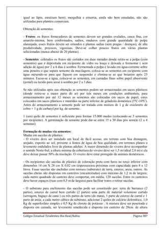 Colégio Estadual Tiradentes-Rio Real/Bahia. Página 387
igual ao lápis, enraízam bem); mergulhia e enxertia, ainda não bem estudadas, não são
utilizadas para plantios comerciais.
Obtenção de sementes:
- Frutos: os frutos fornecedores de sementes devem ser grandes ovalados, casca fina, cor
amarelo-intensa, bem conformados, sadios, maduros com grande quantidade de polpa
alaranjada; esses frutos devem ser oriundos e plantas sadias (sem pragas / doenças), de alta
produtividade, precoces, vigorosas. Deve-se colher poucos frutos em várias plantas
selecionadas (nunca abaixo de 20 plantas).
- Sementes: coletados os frutos são cortados em duas metades donde retira-se a polpa (com
sementes) que é depositada em recipiente de vidro ou louça e deixada a fermentar ( sem
adição de água) por 2 a 4 dias à sombra. Fermentada a polpa é lavada em água corrente sobre
uma peneira o que separa semente da mucilagem; coloca-se as sementes em recipiente com
água mexendo-se para que fiquem em suspensão e elimina-se as que boiarem após 25
minutos. Escoa-se a água, coloca-se as sementes, em camadas finas sobre papel absorvente
(jornal) ou tecido para secar á sombra por 2 a 3 dias.
Se não utilizadas após sua obtenção as sementes podem ser armazenadas em sacos plásticos
(donde retira-se a maior parte do ar) por três meses em condições ambientais; para
armazenamento por até 12 meses as sementes são colocadas em sacos de papel, estes
colocados em sacos plásticos e mantidos na parte inferior de geladeira doméstica (5ºC-10ºC).
Antes do armazenamento a semente pode ser tratada com mistura de 1 g de oxicloreto de
cobre + 1 g de carbaryl por kg. de semente.
1 (um) quilo de sementes é suficiente para formar 15.000 mudas (colocando-se 3 sementes
por recipiente). A germinação da semente pode dar-se entre 15 a 30 dias pós semeio (2 a 4
semanas).
Formação de mudas via sementes:
Mudas em sacolas de plástico:
- O viveiro deve ser instalado em local de fácil acesso, em terreno com boa drenagem,
arejado, exposto ao sol, próximo a fontes de água de boa qualidade, em terrenos planos a
levemente ondulados livre de plantas adultas. A maior dimensão do viveiro deve acompanhar
o sentido Norte-Sul; a altura mínima da cobertura do viveiro deve ser 1,5 m (ideal 2,0 m) e ela
deve deixar passar 50% da insolação. O viveiro deve estar protegido de animais domésticos.
- Os recipientes são sacolas de plástico de coloração preta com furos no terço inferior com
dimensões 14 cm X 28 cm X 0,02 cm (espessura)ou próximas com capacidade para 8 a 12
litros. Essas sacolas são enchidas com mistura (substrato) de terra, esterco, areia, outros. As
sacolas cheias são dispostas em canteiros (encanteiradas) com máximo de 1,2 m de largura;
cada metro quadrado de canteiro deve comportar, em média, 120 sacolas. Entre os canteiros
deve haver espaços (ruas com 0,5 m de largura) para facilitar tratos e retirar sacolas.
- O substrato para enchimento das sacolas pode ser constituído por: terra de barranco (2
partes), esterco de curral bem curtido (2 partes) uma parte de material volumoso curtido
(serragem, bagaço de cana ) ou três partes de terra (de mata), 1 parte de esterco de curral e 1
parte de areia; a cada metro cúbico de substrato, adicionar 2 quilos de calcário dolomítico, 1,0
Kg de superfosfato simples e 0,5 Kg de cloreto de potássio . A mistura deve ser peneirada e
disposta em camada, ser levemente umedecida e disposta em canteiro de 20cm. de altura
 
