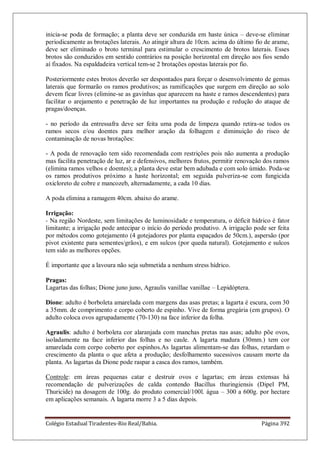 Colégio Estadual Tiradentes-Rio Real/Bahia. Página 392
inicia-se poda de formação; a planta deve ser conduzida em haste única – deve-se eliminar
periodicamente as brotações laterais. Ao atingir altura de 10cm. acima do último fio de arame,
deve ser eliminado o broto terminal para estimular o crescimento de brotos laterais. Esses
brotos são conduzidos em sentido contrários na posição horizontal em direção aos fios sendo
aí fixados. Na espaldadeira vertical tem-se 2 brotações opostas laterais por fio.
Posteriormente estes brotos deverão ser despontados para forçar o desenvolvimento de gemas
laterais que formarão os ramos produtivos; as ramificações que surgem em direção ao solo
devem ficar livres (elimine-se as gavinhas que aparecem na haste e ramos descendentes) para
facilitar o arejamento e penetração de luz importantes na produção e redução do ataque de
pragas/doenças.
- no período da entressafra deve ser feita uma poda de limpeza quando retira-se todos os
ramos secos e/ou doentes para melhor aração da folhagem e diminuição do risco de
contaminação de novas brotações:
- A poda de renovação tem sido recomendada com restrições pois não aumenta a produção
mas facilita penetração de luz, ar e defensivos, melhores frutos, permitir renovação dos ramos
(elimina ramos velhos e doentes); a planta deve estar bem adubada e com solo úmido. Poda-se
os ramos produtivos próximo a haste horizontal; em seguida pulveriza-se com fungicida
oxicloreto de cobre e mancozeb, alternadamente, a cada 10 dias.
A poda elimina a ramagem 40cm. abaixo do arame.
Irrigação:
- Na região Nordeste, sem limitações de luminosidade e temperatura, o déficit hídrico é fator
limitante; a irrigação pode antecipar o início do período produtivo. A irrigação pode ser feita
por métodos como gotejamento (4 gotejadores por planta espaçados de 50cm.), aspersão (por
pivot existente para sementes/grãos), e em sulcos (por queda natural). Gotejamento e sulcos
tem sido as melhores opções.
É importante que a lavoura não seja submetida a nenhum stress hídrico.
Pragas:
Lagartas das folhas; Dione juno juno, Agraulis vanillae vanillae – Lepidóptera.
Dione: adulto é borboleta amarelada com margens das asas pretas; a lagarta é escura, com 30
a 35mm. de comprimento e corpo coberto de espinho. Vive de forma gregária (em grupos). O
adulto coloca ovos agrupadamente (70-130) na face inferior da folha.
Agraulis: adulto é borboleta cor alaranjada com manchas pretas nas asas; adulto põe ovos,
isoladamente na face inferior das folhas e no caule. A lagarta madura (30mm.) tem cor
amarelada com corpo coberto por espinhos.As lagartas alimentam-se das folhas, retardam o
crescimento da planta o que afeta a produção; desfolhamento sucessivos causam morte da
planta. As lagartas da Dione pode raspar a casca dos ramos, também.
Controle: em áreas pequenas catar e destruir ovos e lagartas; em áreas extensas há
recomendação de pulverizações de calda contendo Bacillus thuringiensis (Dipel PM,
Thuricide) na dosagem de 100g. do produto comercial/100l. água – 300 a 600g. por hectare
em aplicações semanais. A lagarta morre 3 a 5 dias depois.
 
