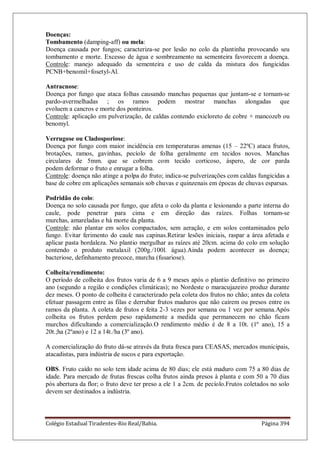 Colégio Estadual Tiradentes-Rio Real/Bahia. Página 394
Doenças:
Tombamento (damping-aff) ou mela:
Doença causada por fungos; caracteriza-se por lesão no colo da plantinha provocando seu
tombamento e morte. Excesso de água e sombreamento na sementeira favorecem a doença.
Controle: manejo adequado da sementeira e uso de calda da mistura dos fungicidas
PCNB+benomil+fosetyl-Al.
Antracnose:
Doença por fungo que ataca folhas causando manchas pequenas que juntam-se e tornam-se
pardo-avermelhadas ; os ramos podem mostrar manchas alongadas que
evoluem a cancros e morte dos ponteiros.
Controle: aplicação em pulverização, de caldas contendo exicloreto de cobre + mancozeb ou
benomyl.
Verrugose ou Cladosporiose:
Doença por fungo com maior incidência em temperaturas amenas (15 – 22ºC) ataca frutos,
brotações, ramos, gavinhas, pecíolo de folha geralmente em tecidos novos. Manchas
circulares de 5mm. que se cobrem com tecido corticoso, áspero, de cor parda
podem deformar o fruto e enrugar a folha.
Controle: doença não atinge a polpa do fruto; indica-se pulverizações com caldas fungicidas a
base de cobre em aplicações semanais sob chuvas e quinzenais em épocas de chuvas esparsas.
Podridão do colo:
Doença no solo causada por fungo, que afeta o colo da planta e lesionando a parte interna do
caule, pode penetrar para cima e em direção das raízes. Folhas tornam-se
murchas, amareladas e há morte da planta.
Controle: não plantar em solos compactados, sem aeração, e em solos contaminados pelo
fungo. Evitar ferimento do caule nas capinas.Retirar lesões iniciais, raspar a área afetada e
aplicar pasta bordaleza. No plantio mergulhar as raízes até 20cm. acima do colo em solução
contendo o produto metalaxil (200g./100l. água).Ainda podem acontecer as doença;
bacteriose, definhamento precoce, murcha (fusariose).
Colheita/rendimento:
O período de colheita dos frutos varia de 6 a 9 meses após o plantio definitivo no primeiro
ano (segundo a região e condições climáticas); no Nordeste o maracujazeiro produz durante
dez meses. O ponto de colheita é caracterizado pela coleta dos frutos no chão; antes da coleta
efetuar passagem entre as filas e derrubar frutos maduros que não caírem ou presos entre os
ramos da planta. A coleta de frutos e feita 2-3 vezes por semana ou 1 vez por semana.Após
colheita os frutos perdem peso rapidamente a medida que permanecem no chão ficam
murchos dificultando a comercialização.O rendimento médio é de 8 a 10t. (1º ano), 15 a
20t.;ha (2ºano) e 12 a 14t./ha (3º ano).
A comercialização do fruto dá-se através da fruta fresca para CEASAS, mercados municipais,
atacadistas, para indústria de sucos e para exportação.
OBS. Fruto caído no solo tem idade acima de 80 dias; ele está maduro com 75 a 80 dias de
idade. Para mercado de frutas frescas colha frutos ainda presos à planta e com 50 a 70 dias
pós abertura da flor; o fruto deve ter preso a ele 1 a 2cm. de pecíolo.Frutos coletados no solo
devem ser destinados a indústria.
 