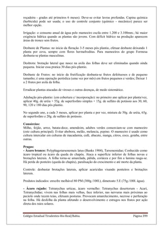 Colégio Estadual Tiradentes-Rio Real/Bahia. Página 399
roçadeira - grades até primeiros 6 meses). Deve-se evitar lavras profundas. Capina química
(herbicida) pode ser usada; o uso do controle conjunto (químico - mecânico) parece ser
melhor opção.
Irrigação: o consumo anual de água pelo mamoeiro oscila entre 1.200 e 3.100mm.; há maior
exigência hídrica quando as plantas são jovens. Com déficit hídrico na produção aparecem
áreas do tronco sem frutos.
Desbaste de Plantas: no início da floração 3-5 meses pós plantio, efetuar desbaste deixando 1
planta por cova, sempre com flores hermafroditas. Para mamoeiros do grupo Formosa
desbasta-se plantas masculinas.
Desbrota: brotação lateral que nasce na axila das folhas deve ser eliminadas quando ainda
pequena. Iniciar essa pratica 30 dias pós-plantio.
Desbaste de Frutos: no início da frutificação desbasta-se frutos defeituosos e de pequeno
tamanho; é uma operação periódica (uma vez por mês) em frutos pequenos e verdes; Deixar 1
a 2 frutos por axila da folha.
Erradicar plantas atacadas de viroses e outras doenças, de modo sistemático.
Adubação pós-plantio: (em cobertura c/ incorporação): no primeiro ano aplicar por planta/vez,
aplicar 40g. de uréia + 55g. de superfosfato simples + 15g. de sulfato de potássio aos 30, 60,
90, 120 e 180 dias pós plantio.
No segundo ano, a cada 3 meses, aplicar por planta e por vez, mistura de 50g. de uréia, 65g.
de superfosfato e 20g. de sulfato de potássio.
Consórcios:
Milho, feijão, arroz, batata-doce, amendoim, adubos verdes consorciam-se com mamoeiro
(este cultura principal). Evitar abobora, melão, melancia, pepino. O mamoeiro é usado como
cultura intercalar em culturas de macadamia, café, abacate, manga, citros, coco, goiaba, entre
outras.
Pragas:
- Ácaro branco: Polyphagotarsonemuis latus (Banks 1904), Tarsonemidae; Conhecido como
ácaro tropical ou ácaro da queda do chapéu. Ataca a superfície inferior de folhas novas e
brotações laterais. A folha torna-se amarelada, pálida, coriácea e por fim a lamina rasga-se.
Há perda do ponteiro (queda do chapéu), paralisação do crescimento e até morte da planta.
Controle: desbastar brotações laterais, aplicar acaricidas visando ponteiros e brotações
laterais.
Produtos indicados: enxofre molhável 80 PM (300g./100l.), dimetoato 5.E (75g./100l. água).
- Ácaro rajado: Tetranychus urticae, ácaro vermelho: Tetranychus desertorum - Acari,
Tetranychidae; vivem nas folhas mais velhas, face inferior, nas nervuras mais próximas ao
pecíolo onde tecem teias, efetuam posturas. Provocam amarelecimento, necrose e perfuração
na folha. Há desfolha da planta afetando o desenvolvimento e estragos nos frutos por ação
direta dos raios solares.
 