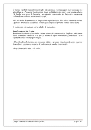 Colégio Estadual Tiradentes-Rio Real/Bahia. Página 401
O mamão é colhido manualmente (torção) até ruptura do pedúnculo; para indivíduos de porte
alto utiliza-se o "canguru" (equipamento ligado ao hidráulico do trator) ou a vara de colheita
(de bambu com copo de borracha - pressionado contra ápice do fruto até a ruptura do
pedúnculo - semelhante a desentupidor de pia).
Para evitar vias de penetração de fungos cortar o pedúnculo do fruto à faca sem torcer o fruto.
Operários devem usar luva e blusa com mangas compridas (prevenir contato com o látex).
O rendimento esta indicado em variedades de mamoeiros.
Beneficiamento dos Frutos:
Tratamento dos frutos pós-colheita visando prevenção contra doenças fungicas e mosca-das-
frutas (tratamento térmico a 47ºC por 20 minutos e rápido resfriamento) para mosca - e de
thyabendazol ou benomyl para fungos.
- Classificação pelo tamanho em pequenos, médios e grandes, etiquetagem ( nome/ endereço
do produtor) embalagem em caixa de madeira ou de papelão (exportação).
- Frigoconservação entre 13ºC e 16ºC.
 