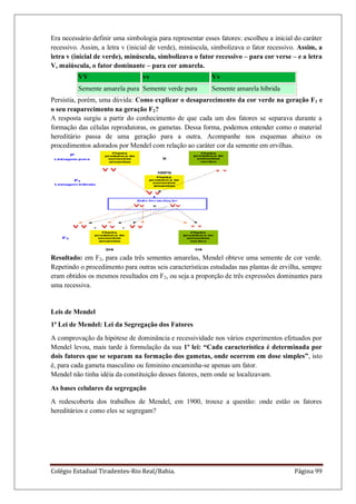 Colégio Estadual Tiradentes-Rio Real/Bahia. Página 99
Era necessário definir uma simbologia para representar esses fatores: escolheu a inicial do caráter
recessivo. Assim, a letra v (inicial de verde), minúscula, simbolizava o fator recessivo. Assim, a
letra v (inicial de verde), minúscula, simbolizava o fator recessivo – para cor verse – e a letra
V, maiúscula, o fator dominante – para cor amarela.
VV vv Vv
Semente amarela pura Semente verde pura Semente amarela híbrida
Persistia, porém, uma dúvida: Como explicar o desaparecimento da cor verde na geração F1 e
o seu reaparecimento na geração F2?
A resposta surgiu a partir do conhecimento de que cada um dos fatores se separava durante a
formação das células reprodutoras, os gametas. Dessa forma, podemos entender como o material
hereditário passa de uma geração para a outra. Acompanhe nos esquemas abaixo os
procedimentos adorados por Mendel com relação ao caráter cor da semente em ervilhas.
Resultado: em F2, para cada três sementes amarelas, Mendel obteve uma semente de cor verde.
Repetindo o procedimento para outras seis características estudadas nas plantas de ervilha, sempre
eram obtidos os mesmos resultados em F2, ou seja a proporção de três expressões dominantes para
uma recessiva.
Leis de Mendel
1ª Lei de Mendel: Lei da Segregação dos Fatores
A comprovação da hipótese de dominância e recessividade nos vários experimentos efetuados por
Mendel levou, mais tarde à formulação da sua 1º lei: “Cada característica é determinada por
dois fatores que se separam na formação dos gametas, onde ocorrem em dose simples”, isto
é, para cada gameta masculino ou feminino encaminha-se apenas um fator.
Mendel não tinha idéia da constituição desses fatores, nem onde se localizavam.
As bases celulares da segregação
A redescoberta dos trabalhos de Mendel, em 1900, trouxe a questão: onde estão os fatores
hereditários e como eles se segregam?
 