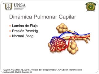 Dinámica Pulmonar Capilar
Guyton, A.C.& Hall, J.E. (2016). "Tratado de Fisiología médica". 13ª Edición. Interamericana-
McGraw-Hill. Madrid. Capitulo 39
 Lamina de Flujo
 Presión 7mmHg
 Normal ,8seg
 