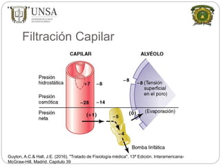 Filtración Capilar
Guyton, A.C.& Hall, J.E. (2016). "Tratado de Fisiología médica". 13ª Edición. Interamericana-
McGraw-Hill. Madrid. Capitulo 39
 