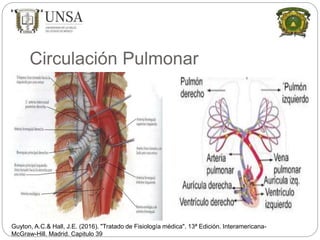 Circulación Pulmonar
Guyton, A.C.& Hall, J.E. (2016). "Tratado de Fisiología médica". 13ª Edición. Interamericana-
McGraw-Hill. Madrid. Capitulo 39
 