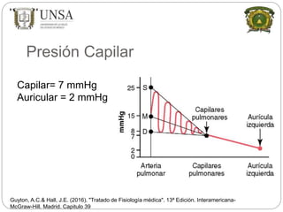 Presión Capilar
Guyton, A.C.& Hall, J.E. (2016). "Tratado de Fisiología médica". 13ª Edición. Interamericana-
McGraw-Hill. Madrid. Capitulo 39
Capilar= 7 mmHg
Auricular = 2 mmHg
 