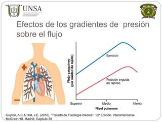 Efectos de los gradientes de presión
sobre el flujo
Guyton, A.C.& Hall, J.E. (2016). "Tratado de Fisiología médica". 13ª Edición. Interamericana-
McGraw-Hill. Madrid. Capitulo 39
 