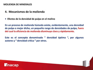 MOLIENDA DE MINERALES
4. Mecanismos de la molienda
• Efectos de la densidad de pulpa en el molino
En un proceso de molienda húmeda existe, evidentemente, una densidad
de pulpa o mejor dicho, un pequeño rango de densidades de pulpa, fuera
del cual la eficiencia de molienda disminuye clara y rápidamente.
Este es el concepto denominado “ densidad óptima “, por algunos
autores y “ densidad crítica “ por otros.
 