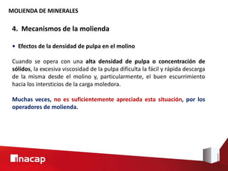 MOLIENDA DE MINERALES
4. Mecanismos de la molienda
• Efectos de la densidad de pulpa en el molino
Cuando se opera con una alta densidad de pulpa o concentración de
sólidos, la excesiva viscosidad de la pulpa dificulta la fácil y rápida descarga
de la misma desde el molino y, particularmente, el buen escurrimiento
hacia los intersticios de la carga moledora.
Muchas veces, no es suficientemente apreciada esta situación, por los
operadores de molienda.
 