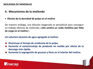 MOLIENDA DE MINERALES
4. Mecanismos de la molienda
• Efectos de la densidad de pulpa en el molino
De manera análoga, una dilución exagerada es perjudicial para conseguir
un trabajo efectivo de molienda ( sólo sentirá un ruido metálico por falta
de carga en el molino ).
Un volumen excesivo de agua agregado al molino:
Disminuye el tiempo de residencia de la pulpa.
Aumenta el cortocircuitaje de producto no molido por efecto de la
descarga más rápida.
Aumenta la segregación de gruesos y finos en el interior del molino.
 