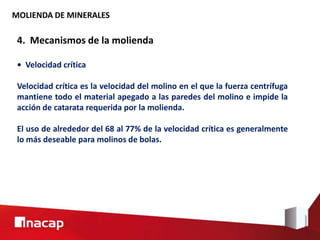 MOLIENDA DE MINERALES
4. Mecanismos de la molienda
• Velocidad crítica
Velocidad crítica es la velocidad del molino en el que la fuerza centrífuga
mantiene todo el material apegado a las paredes del molino e impide la
acción de catarata requerida por la molienda.
El uso de alrededor del 68 al 77% de la velocidad crítica es generalmente
lo más deseable para molinos de bolas.
 