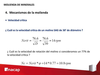 MOLIENDA DE MINERALES
4. Mecanismos de la molienda
• Velocidad crítica
¿ Cuál es la velocidad crítica de un molino SAG de 30’ de diámetro ?
¿ Cuál es la velocidad de rotación del molino si consideramos un 77% de
la velocidad crítica ?
 
