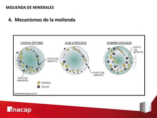 MOLIENDA DE MINERALES
4. Mecanismos de la molienda
 