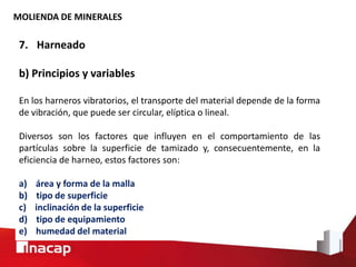 MOLIENDA DE MINERALES
7. Harneado
b) Principios y variables
En los harneros vibratorios, el transporte del material depende de la forma
de vibración, que puede ser circular, elíptica o lineal.
Diversos son los factores que influyen en el comportamiento de las
partículas sobre la superficie de tamizado y, consecuentemente, en la
eficiencia de harneo, estos factores son:
a) área y forma de la malla
b) tipo de superficie
c) inclinación de la superficie
d) tipo de equipamiento
e) humedad del material
 