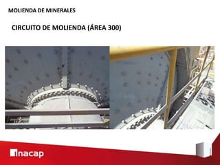 MOLIENDA DE MINERALES
CIRCUITO DE MOLIENDA (ÁREA 300)
 