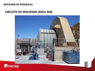 MOLIENDA DE MINERALES
CIRCUITO DE MOLIENDA (ÁREA 300)
 
