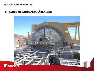 MOLIENDA DE MINERALES
CIRCUITO DE MOLIENDA (ÁREA 300)
 