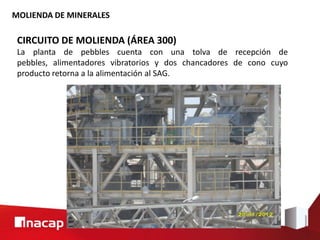 MOLIENDA DE MINERALES
CIRCUITO DE MOLIENDA (ÁREA 300)
La planta de pebbles cuenta con una tolva de recepción de
pebbles, alimentadores vibratorios y dos chancadores de cono cuyo
producto retorna a la alimentación al SAG.
 