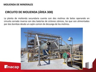 MOLIENDA DE MINERALES
CIRCUITO DE MOLIENDA (ÁREA 300)
La planta de molienda secundaria cuenta con dos molinos de bolas operando en
circuito cerrado inverso con dos baterías de ciclones cónicos, los que son alimentados
por dos bombas desde un cajón común de descarga de los molinos.
 