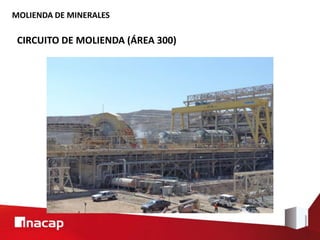MOLIENDA DE MINERALES
CIRCUITO DE MOLIENDA (ÁREA 300)
 