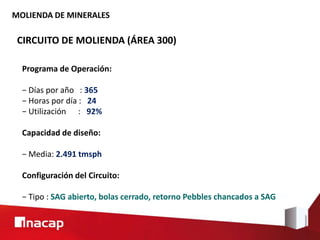 MOLIENDA DE MINERALES
CIRCUITO DE MOLIENDA (ÁREA 300)
Programa de Operación:
− Días por año : 365
− Horas por día : 24
− Utilización : 92%
Capacidad de diseño:
− Media: 2.491 tmsph
Configuración del Circuito:
− Tipo : SAG abierto, bolas cerrado, retorno Pebbles chancados a SAG
 