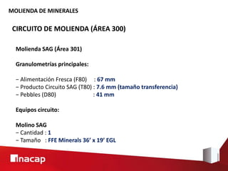 MOLIENDA DE MINERALES
CIRCUITO DE MOLIENDA (ÁREA 300)
Molienda SAG (Área 301)
Granulometrías principales:
− Alimentación Fresca (F80) : 67 mm
− Producto Circuito SAG (T80) : 7.6 mm (tamaño transferencia)
− Pebbles (D80) : 41 mm
Equipos circuito:
Molino SAG
− Cantidad : 1
− Tamaño : FFE Minerals 36’ x 19’ EGL
 