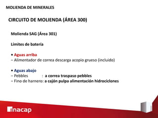 MOLIENDA DE MINERALES
CIRCUITO DE MOLIENDA (ÁREA 300)
Molienda SAG (Área 301)
Límites de batería
• Aguas arriba
− Alimentador de correa descarga acopio grueso (incluido)
• Aguas abajo
− Pebbles : a correa traspaso pebbles
− Fino de harnero: a cajón pulpa alimentación hidrociclones
 